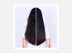 Shu Uemura Ashita Supreme Shampoo Rivitalizzante Intenso 300 Ml -Bellezza e Lusso effetto shampoo shu uemura ashita supreme