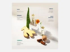 FIALE MEDAVITA LOTION CONCENTREE HOMME 13FLX6ML - TRATTAMENTO INTENSIVO ANTICADUTA UOMO -Bellezza e Lusso principi attivi fiale medavita uomo anticaduta lotion concentree